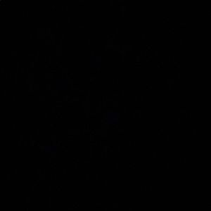 Meet your Posher, Brody